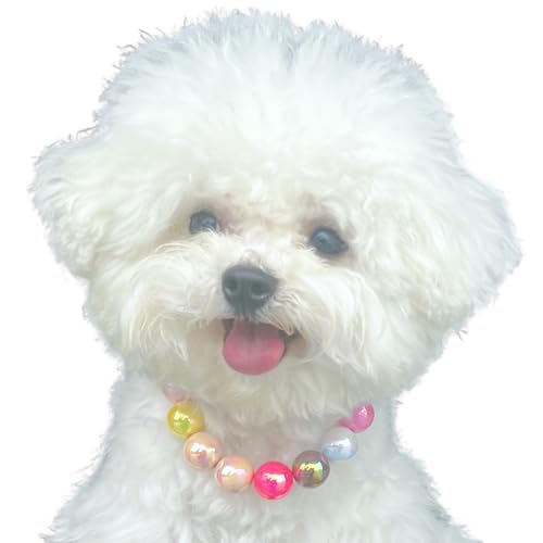 Kepudengen Dogs necklace,Pet Fashion Necklace, Colorful Beaded Necklace,Pet Jewelry,Vibrant Candy-Colored Pet Jewelry Neck...