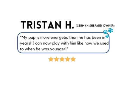 to The Rescue Dog Multivitamin Supplement - Ideal Supplement to Promote Overall Wellness for Dogs of All Breads and Ages -...