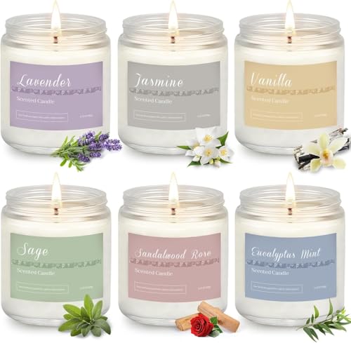 6 Pack Scented Candles Gift Set, Long Lasting Aromatherapy Candles for Home, 37.8 oz 300 Hour Burn, Lavender Jasmine Vanil...