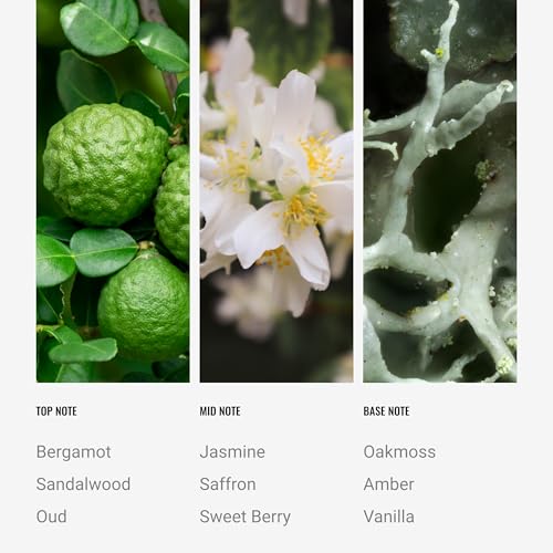 Hotel Collection | Crystal Oud Essential Oil Room Spray | Luxury Hotel Inspired Aromatherapy | Bergamot, Saffron and Amber...