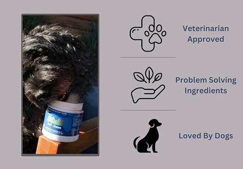 to The Rescue Dog Multivitamin Supplement - Ideal Supplement to Promote Overall Wellness for Dogs of All Breads and Ages -...
