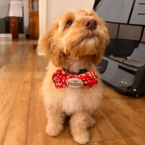 Badge Bow Santa’s Favourite, Dog Gifts for Christmas, Presents for pets, Dog Christmas Outfit, Pet Fashion