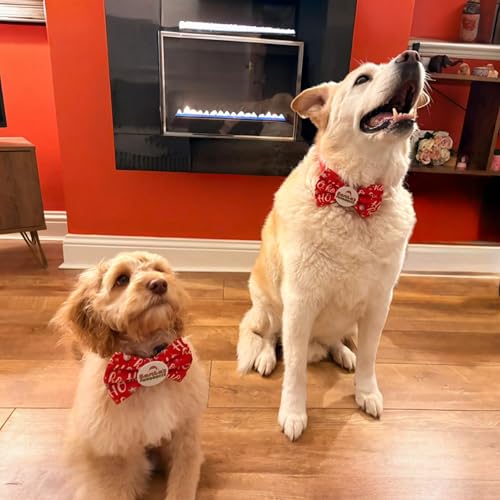 Badge Bow Santa’s Favourite, Dog Gifts for Christmas, Presents for pets, Dog Christmas Outfit, Pet Fashion