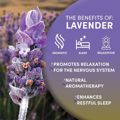Worldwide Botanicals Organic Lavender Flowers, 4 ounces, Pure European Lavender buds, Perfect for Aromatherapy, Sachets, W...