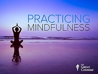 Practicing Mindfulness: An Introduction to Meditation